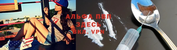 гидра Алексин